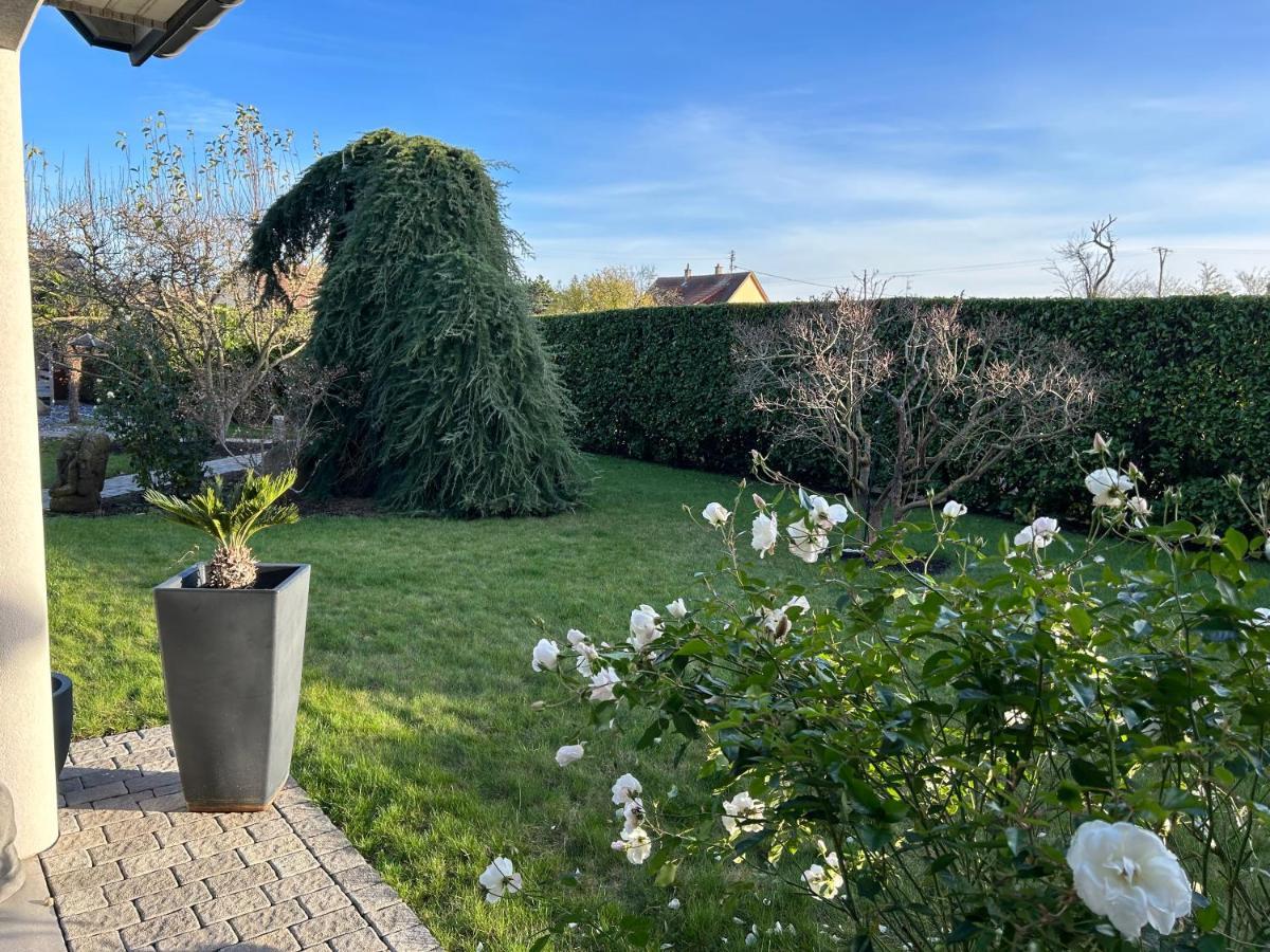 Grande Maison Au Calme Ensisheim Bagian luar foto